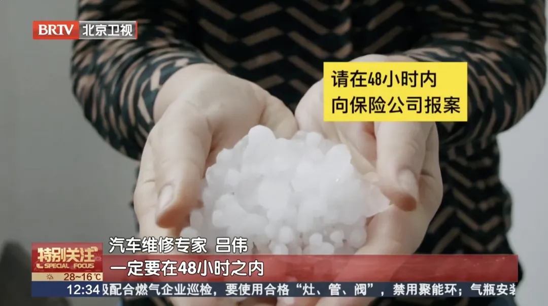 專家 專家