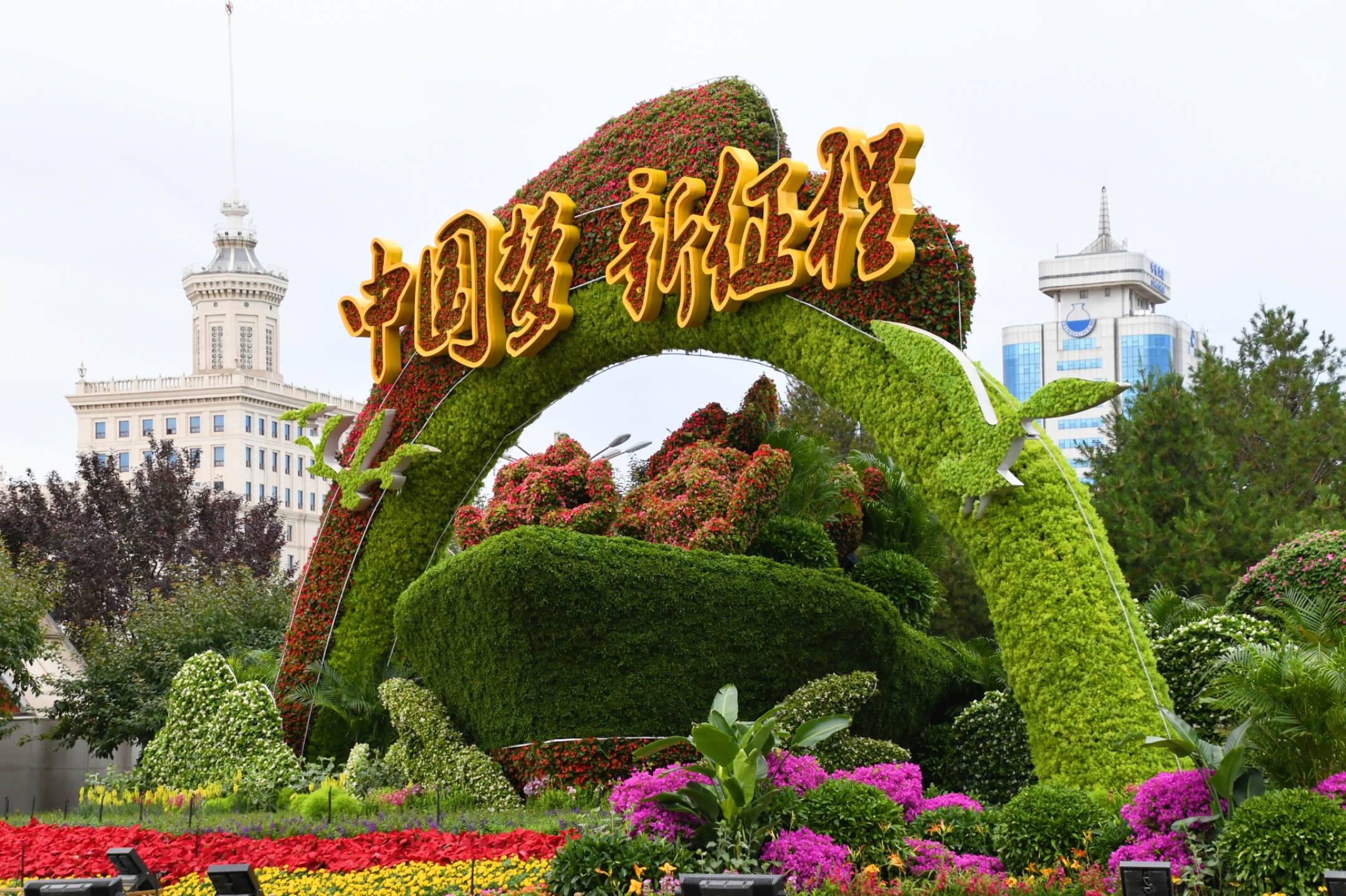 揚帆起航