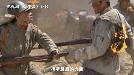 5.gif