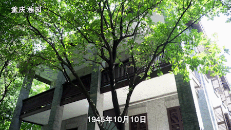 gif7.gif
