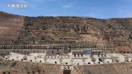 gif6.gif