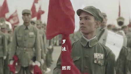 gif1.gif