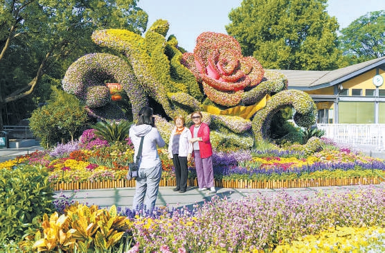 近日，紫竹院公園精心打造的系列花卉景觀正式亮相。以“我們的祖國是花園”為主題的巨型玫瑰花壇及五大主題花卉造景，吸引了眾多市民游客駐足觀賞、拍照留念。