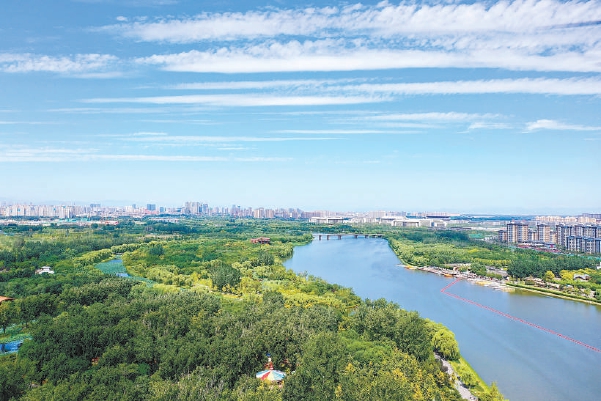 清晨，大運河畔，城市綠心森林公園滿目蔥蘢。