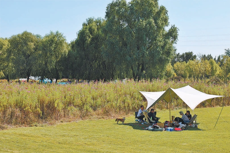 游人在綠心公園帳篷區享受閒暇時光。