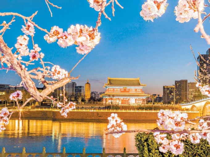 燃燈塔、大光樓與春花相映成趣。
