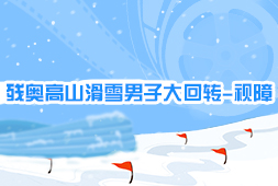殘奧高山滑雪男子大回轉-視障