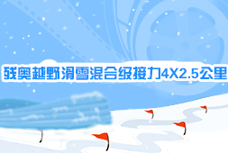 殘奧越野滑雪混合級接力4X2.5公里
