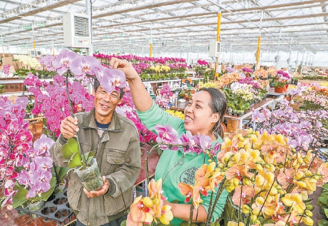 在廊坊市永清縣恒美國際花都市場交易大廳內，來自北京的商戶高燕(女）在與市場技術員、貧困戶姬學瑞交流花卉養護知識。