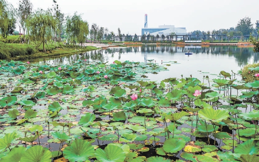 安南濕地環保主題公園