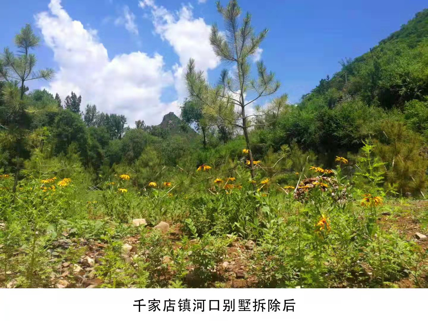 千家店鎮河口別墅拆除後