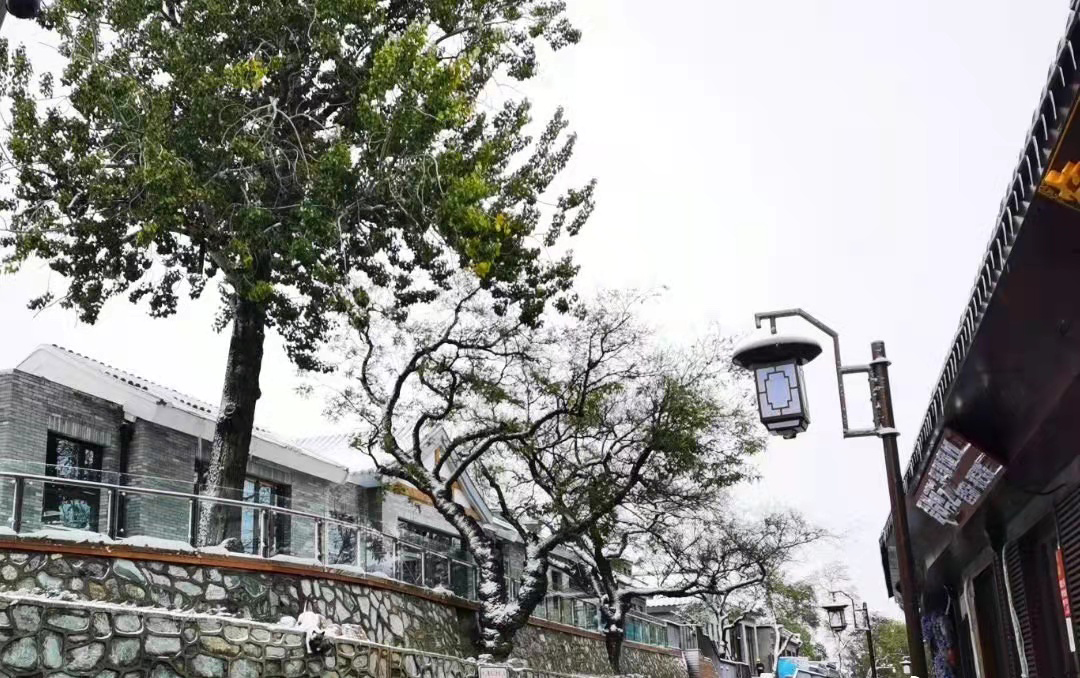 疏整促剪影丨變化天天看：模式口大街的古道新韻