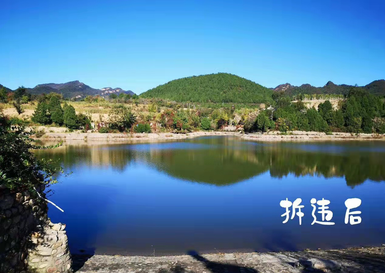 拆違後