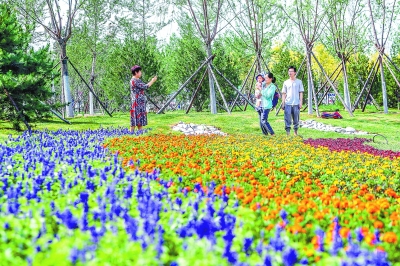 6月7日上午，佔地面積5508畝的大興狼垡城市森林公園向市民開放。