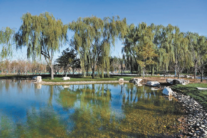 廣渠路旁正在建設中的郭家場村公園，佔地面積18萬平方米，綠化面積達17.8萬平方米。園內一湖碧水，楊柳依依，綠草如茵，吸引附近居民相約游園體驗。