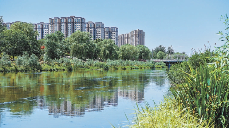 涼水河亦莊段兩岸鬱鬱蔥蔥，水草豐茂，曾經的污水河現已變成風景宜人的景觀河，恢復了自然風貌。