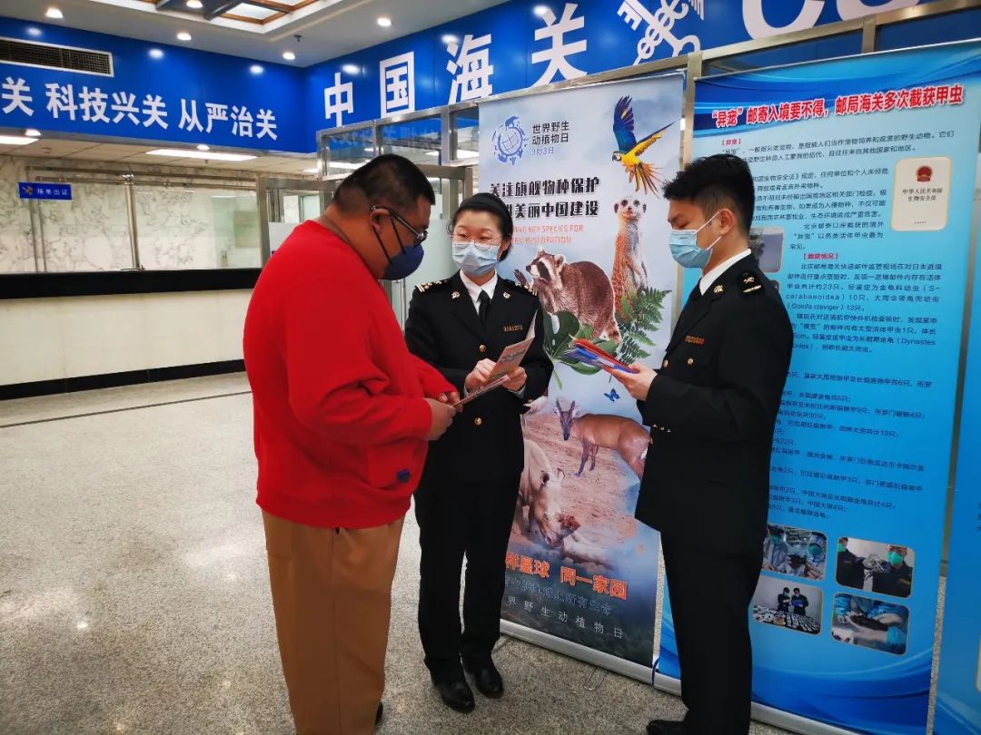 弘揚雷鋒精神 北京海關青年在行動