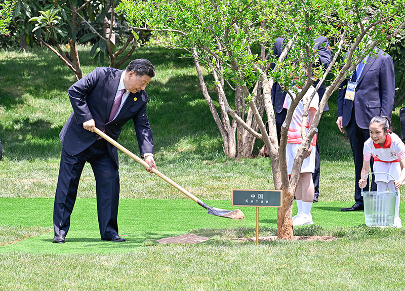 5月19日上午，國家主席習近平在陜西省西安市主持首屆中國－中亞峰會併發表題為《攜手建設守望相助、共同發展、普遍安全、世代友好的中國－中亞命運共同體》的主旨講話。峰會結束後，習近平和中亞五國元首共同種下六棵石榴樹，既見證中國同中亞千年友好交往，也象徵中國同中亞緊密團結合作，更寄託對中國－中亞關係美好未來的期待。