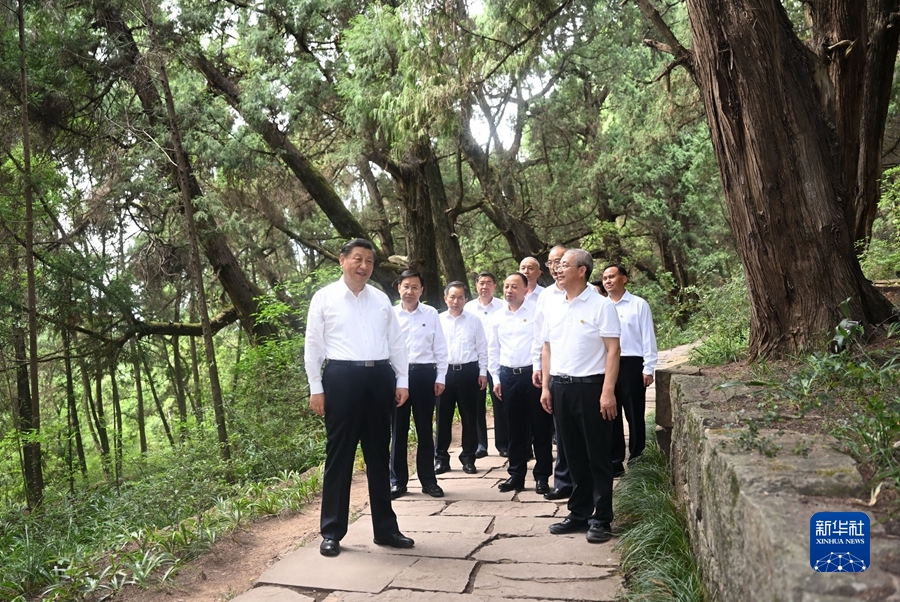 7月25日至27日，中共中央總書記、國家主席、中央軍委主席習近平在四川考察。這是25日下午，習近平在廣元市劍閣縣翠雲廊考察。