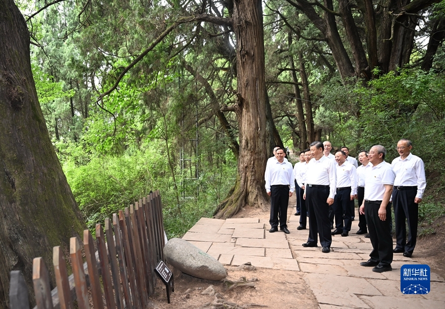 7月25日至27日，中共中央總書記、國家主席、中央軍委主席習近平在四川考察。這是25日下午，習近平在廣元市劍閣縣翠雲廊考察。