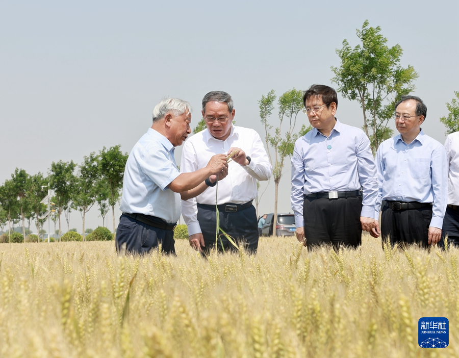 5月22日至23日，中共中央政治局常委、國務院總理李強在河南調研。這是5月23日，李強在新鄉市平原示範區高標準農田調研。