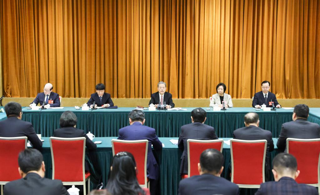 3月6日上午，中共中央政治局常委、全國人大常委會委員長趙樂際參加全國政協十四屆三次會議致公黨、僑聯、對外友好界委員聯組會。