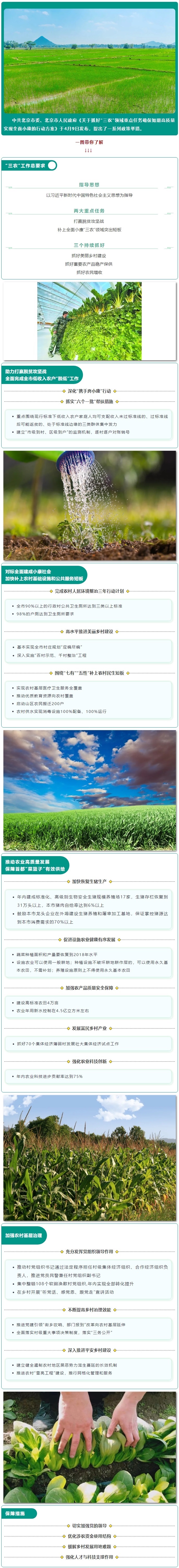 一圖讀懂《關於抓好“三農”領域重點任務確保如期高品質實現全面小康的行動方案》.jpg