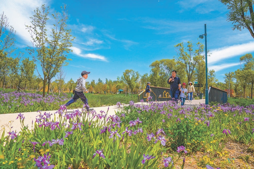 入夏以來，溫榆河公園綠意盎然，市民在公園內休閒娛樂，十分愜意