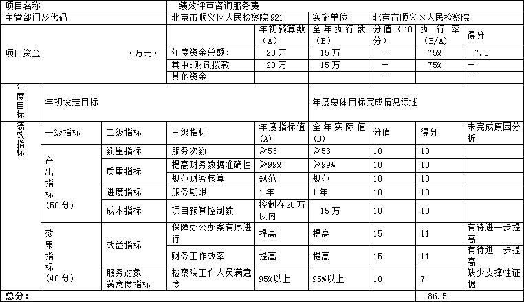 项目支出绩效自评表