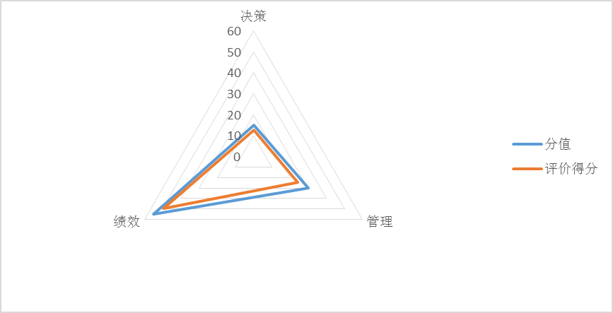图1：项目绩效评价得分情况
