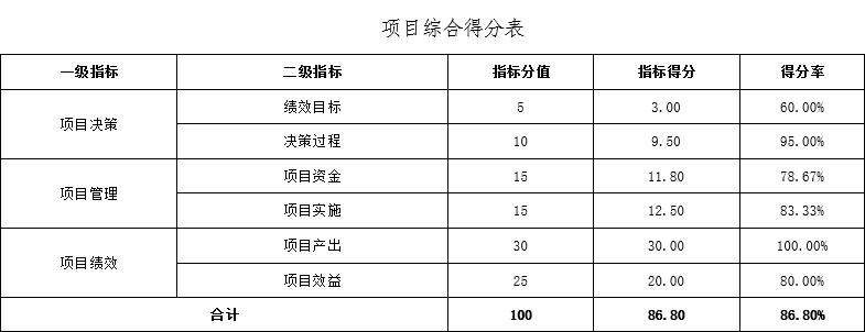 项目综合得分表.jpg