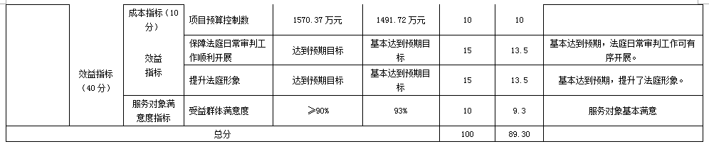 项目支出绩效自评表