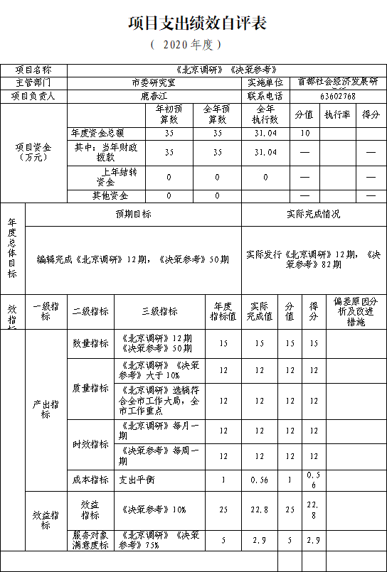 项目支出绩效自评表