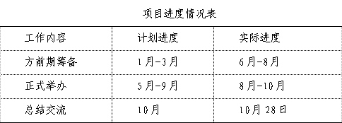 项目进度情况表