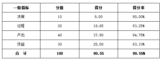 综合评价得分情况表