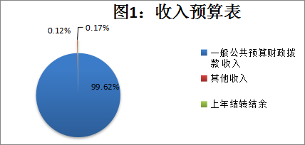 图1：收入预算表