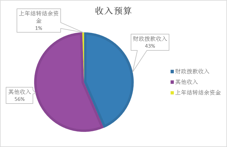 收入预算