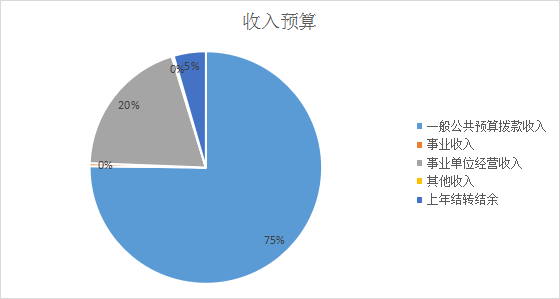 收入预算