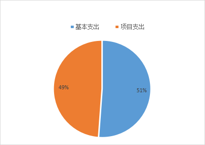 基本支出和项目支出情况