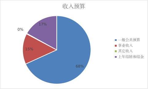 收入预算