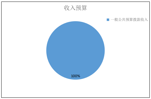 收入预算