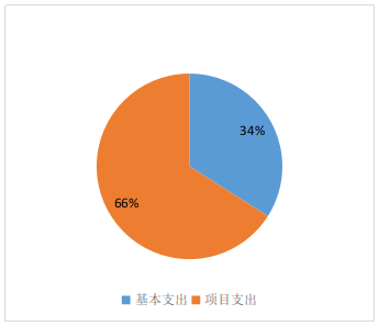 基本支出和项目支出情况