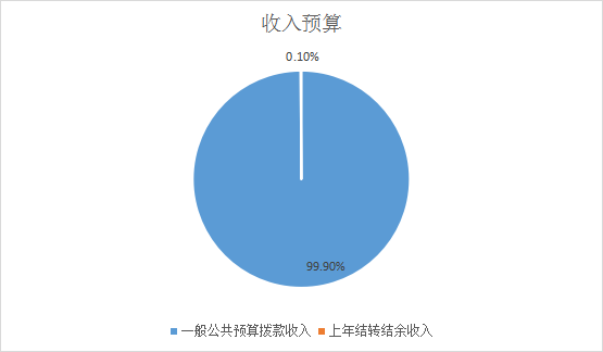 收入预算