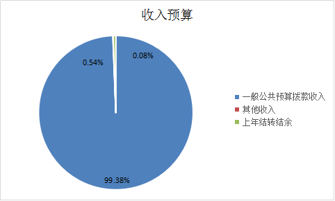 图1：收入预算