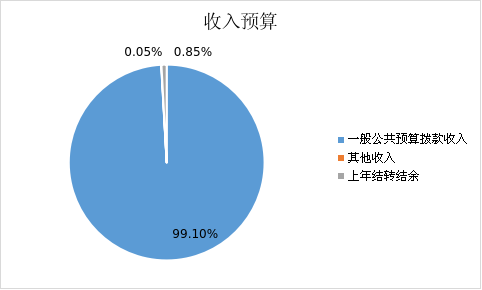 图1：收入预算