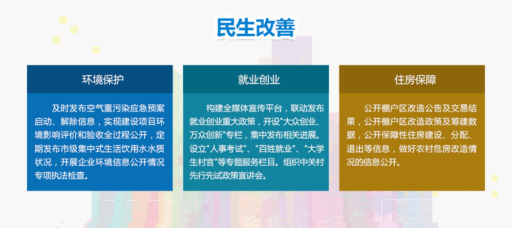 重点领域信息公开情况