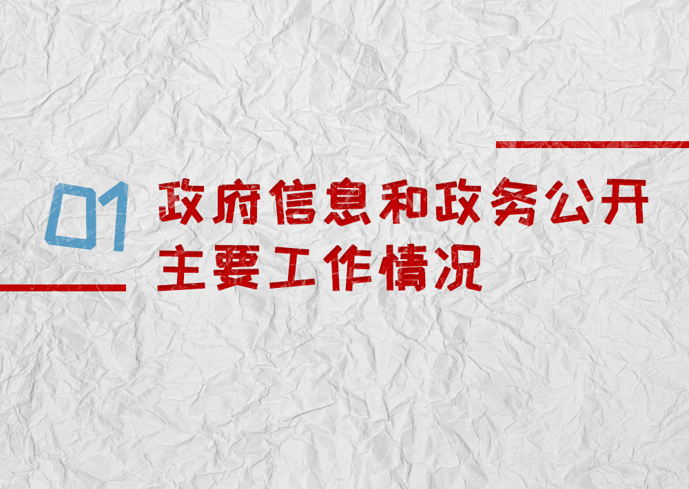 政府信息  和 政 务 公开主要工作情况