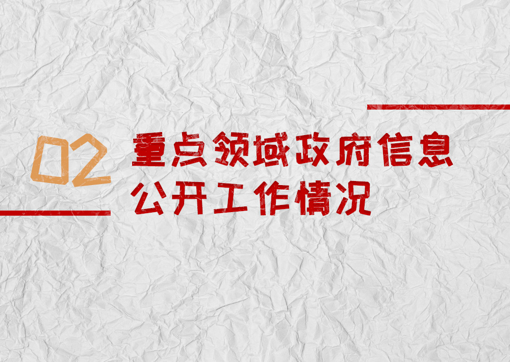 重点领域政府信息公开工作情况