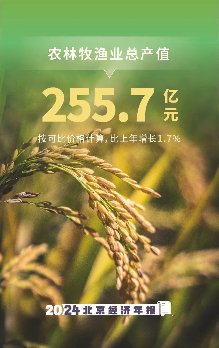 农业生产实现增长，乡村旅游恢复向好