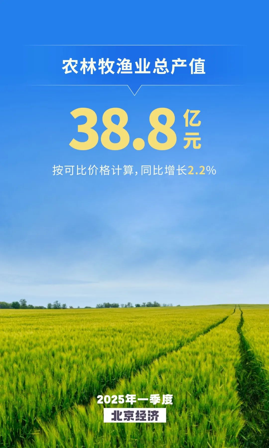 农业生产规模继续扩大 种植业、牧业稳步增长